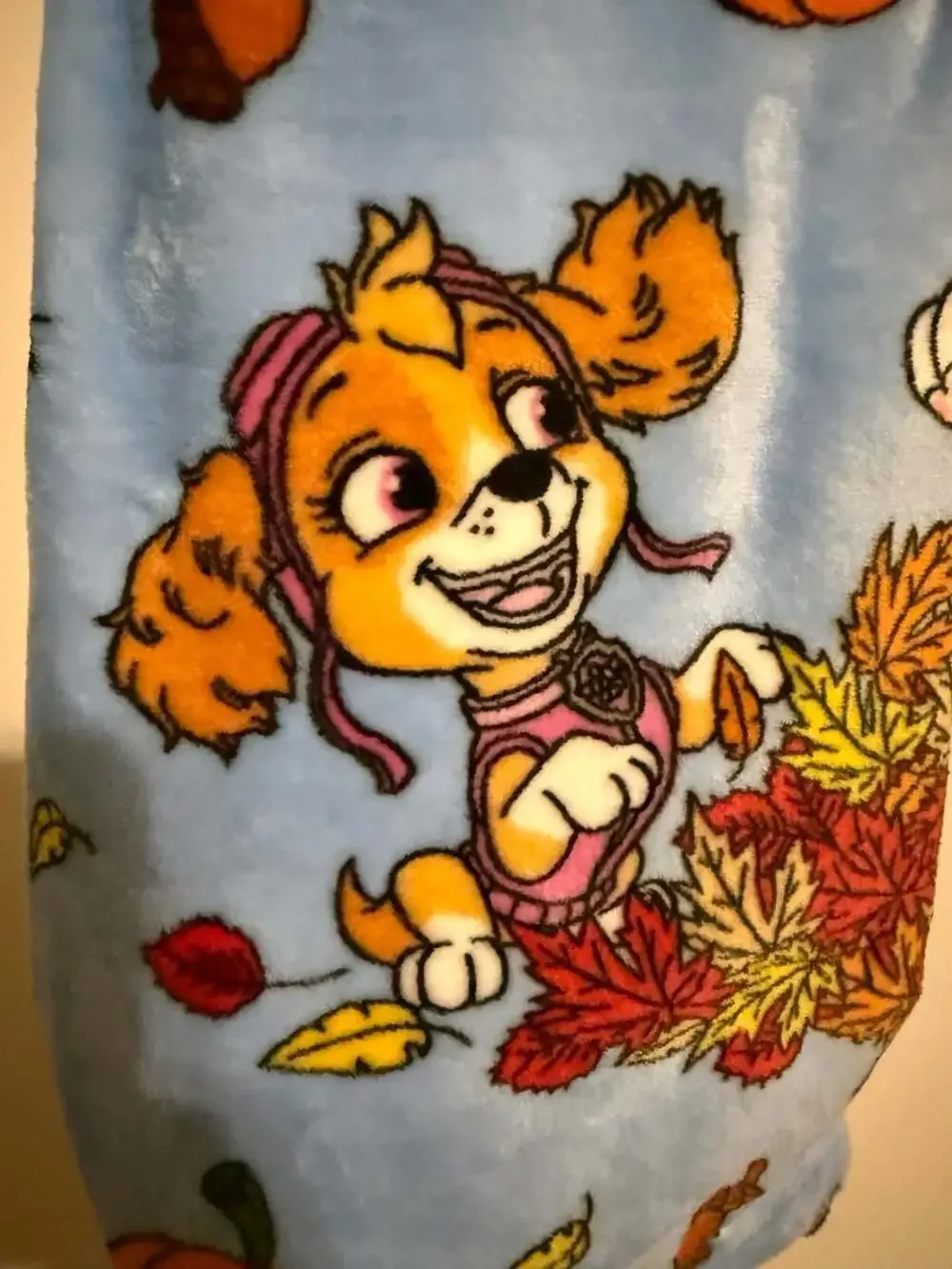Paw Patrol Fall Frenzy Silk Touch Throw Blanket 40in x 50in